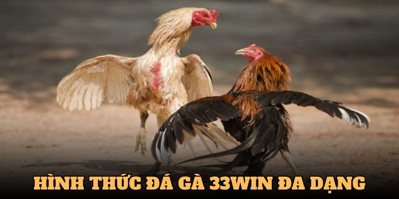 Hình thức đá gà 33Win khá đa dạng