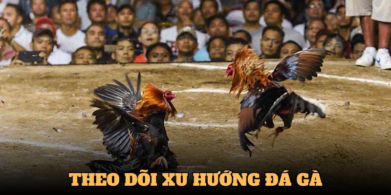 Người chơi nên nắm bắt xu hướng của từng trận đá gà